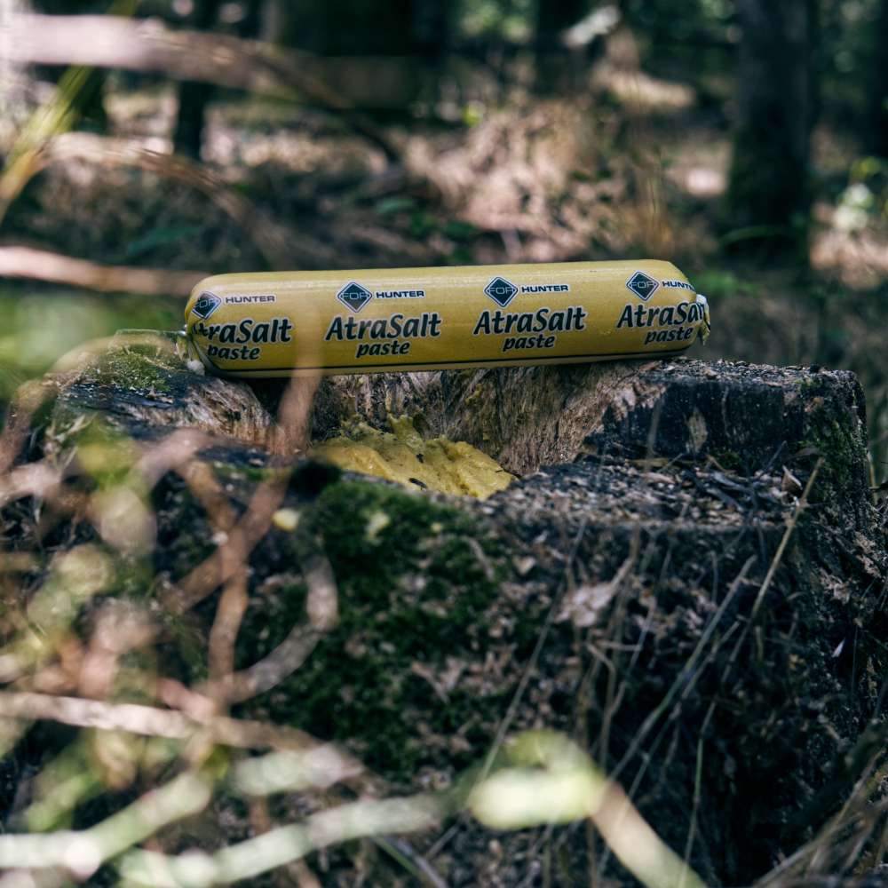 AtraSalt Pastenwurst 2,4kg Mais – Bild 5